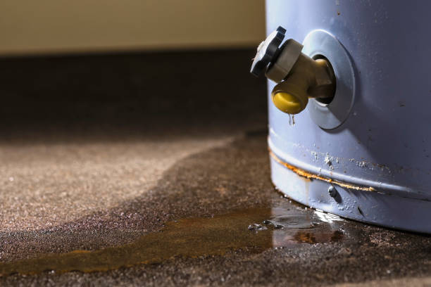 Best Local water damage restoration  in Delano, CA