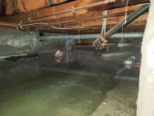 Best Basement water damage restoration  in Delano, CA