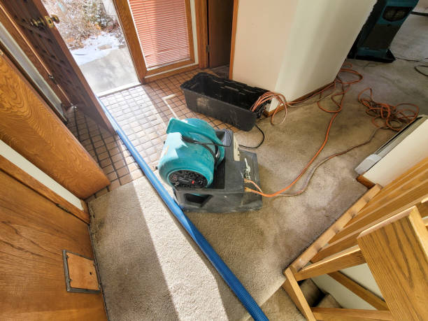  Delano, CA Water damage restoration Pros