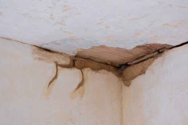 Best Flooded house restoration  in Delano, CA