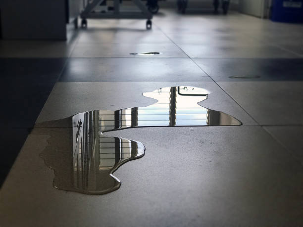 Best Water damage contractors near me  in Delano, CA