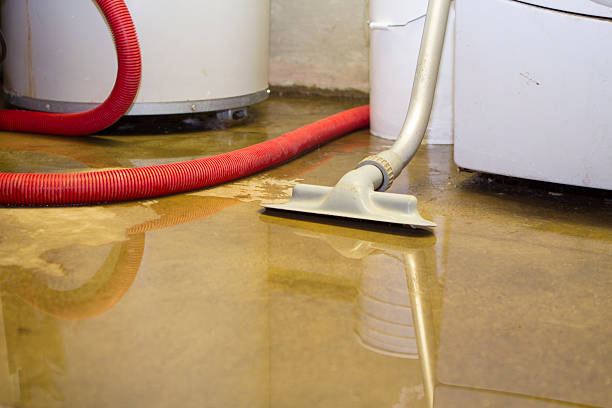 Best Carpet water damage restoration  in Delano, CA