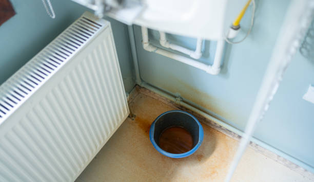 Best Water damage restoration near me  in Delano, CA