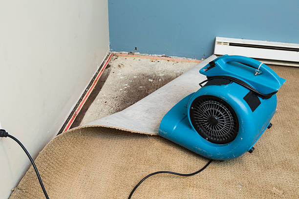 Best Water damage restoration near me  in Delano, CA